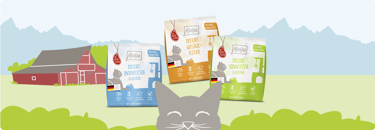 Katze_TroFu_LeckereMahlzeiten_responsiv