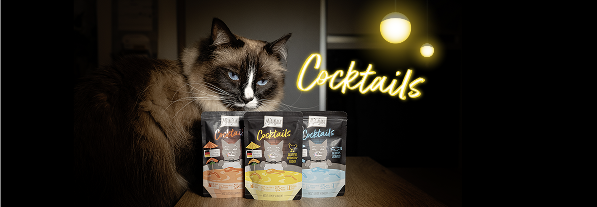 Katze_Cocktails_responsiv