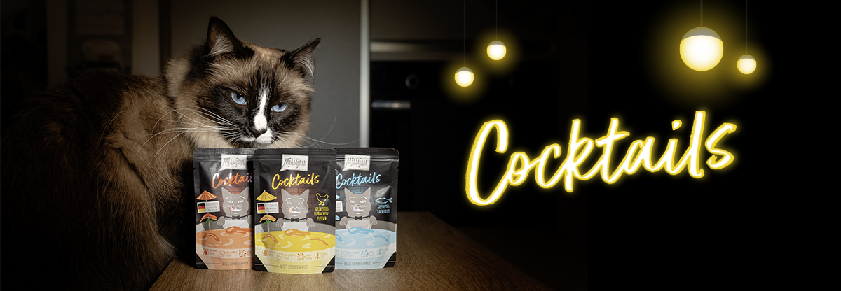 Katze_Cocktails_desk