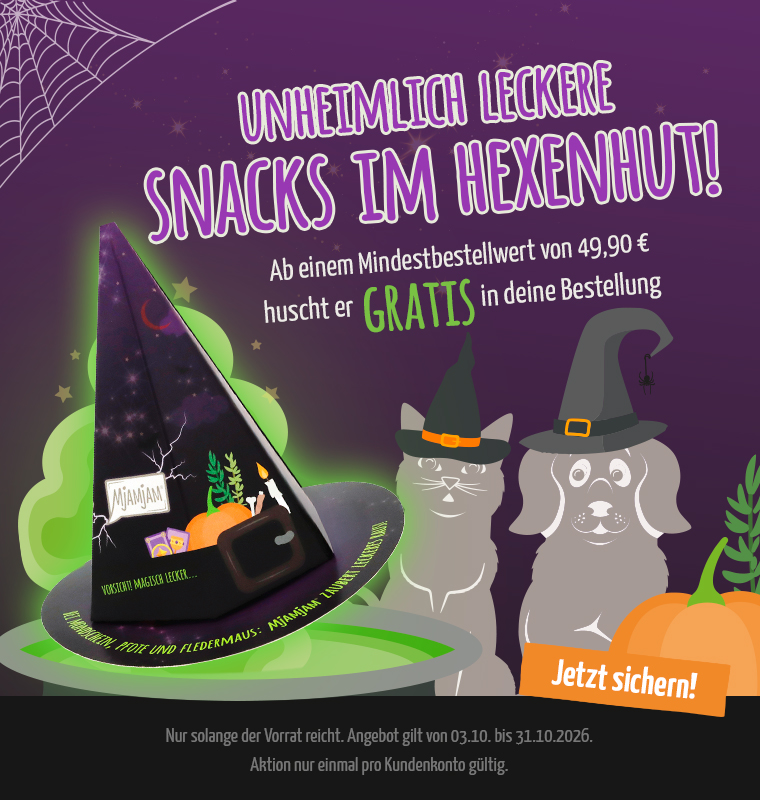 MM-Halloween_Hexenhut-Mobil