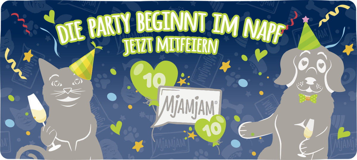 202607 MjAMjAM Shop - Header - 10JahresBox