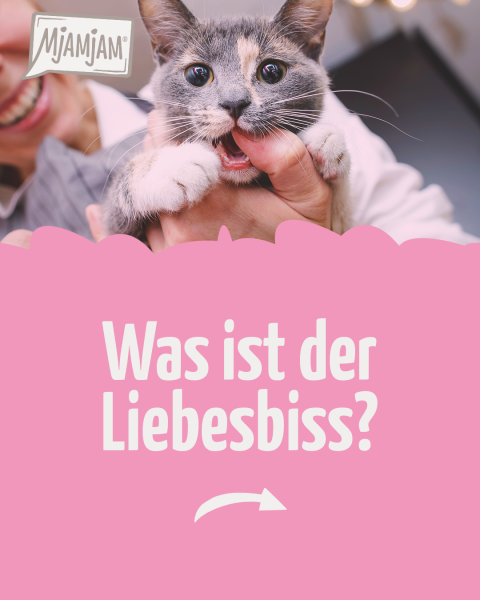 1002_Liebesbiss