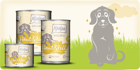 hundefutter knguru trockenfutter Knguru-Snacks  Natrlich & hypoallergen fr Hunde