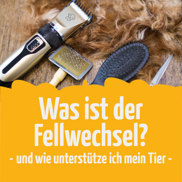 Titelbild-Blog