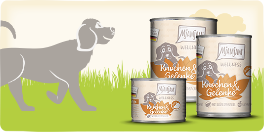 Wellness | Hunde | MjAMjAM | Hunde- und Katzenfutter
