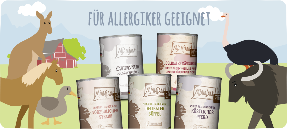 aufbewahrung schublade SpaceFlexx Schubladen Organizer