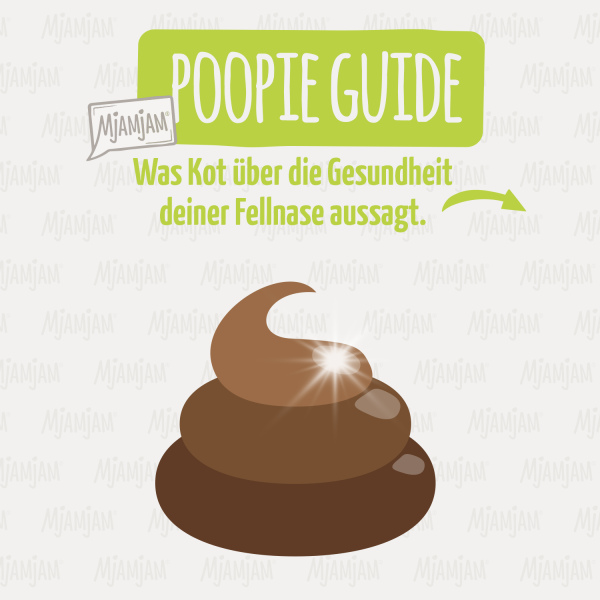 Poopie-Guide