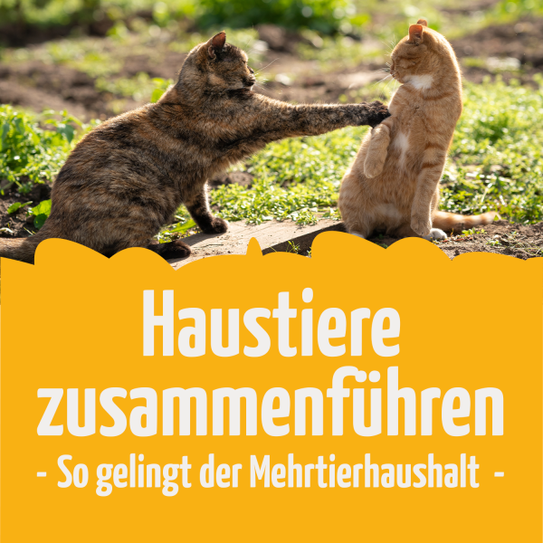 Titelbild-BlogyD22qRTIVTxWp