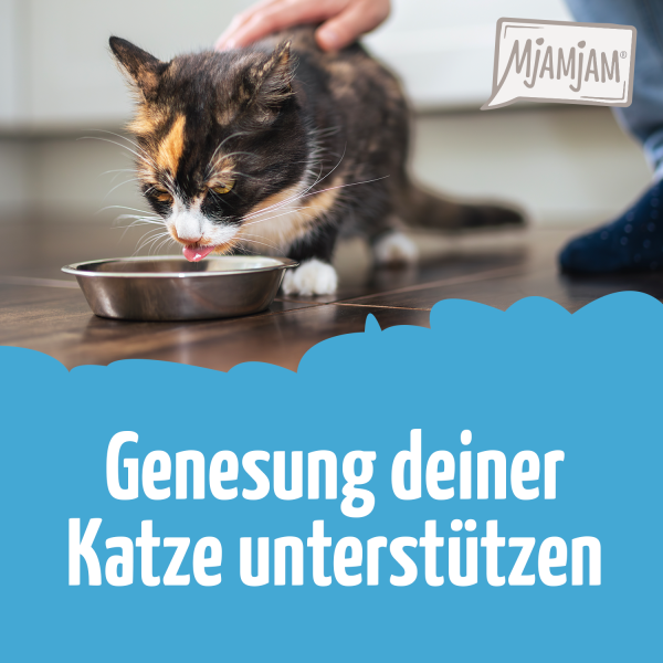 0110_Genesung-durch-Futter