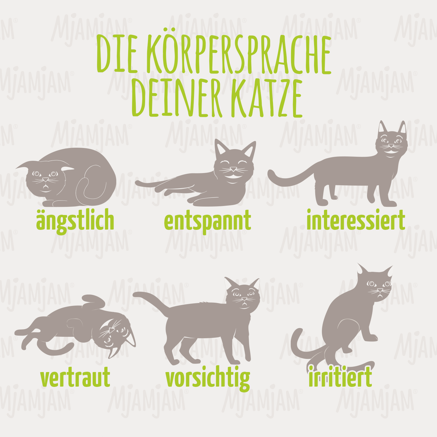 Die Körpersprache der Katzen: Bilder zum Malen und Verstehen