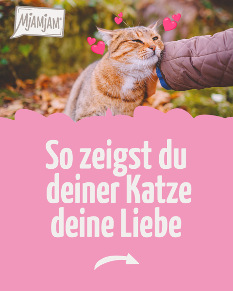 0202_Wie-liebt-mich-meine-Katze